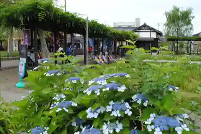 二本松寺(茨城県)