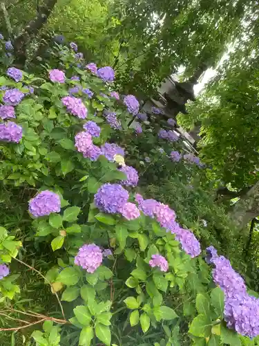 資福寺(宮城県)