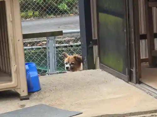 天台宗 五大山 白毫寺(兵庫県)