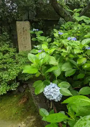 元慶寺(京都府)