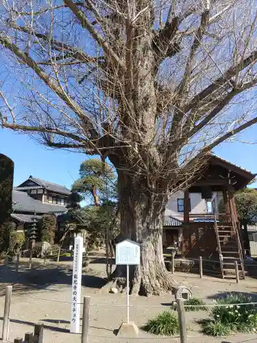 龍光寺(群馬県)