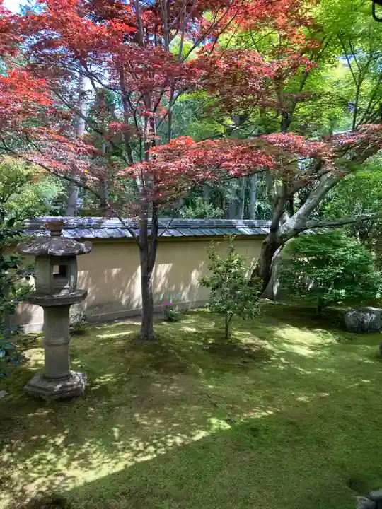 興臨院(京都府)