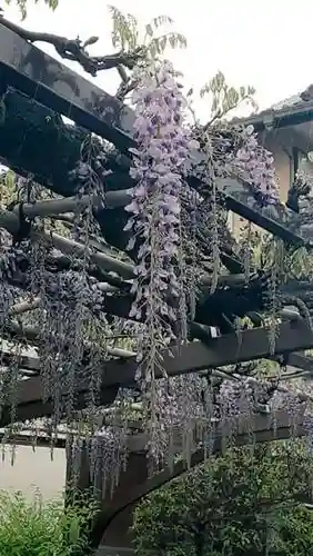 西方山極楽寺(岐阜県)