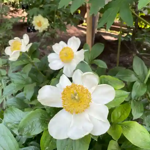 上野東照宮(東京都)