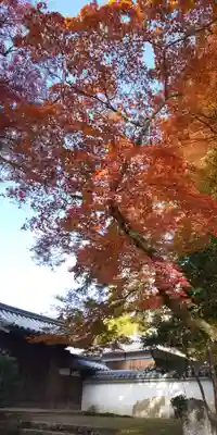 圓教寺(兵庫県)