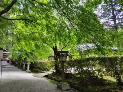 大田神社(賀茂別雷神社境外摂社)(京都府)