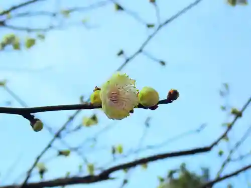 本牧神社(神奈川県)