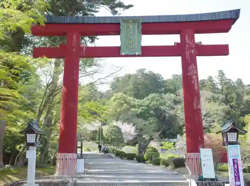 志波彦神社・鹽竈神社の鳥居