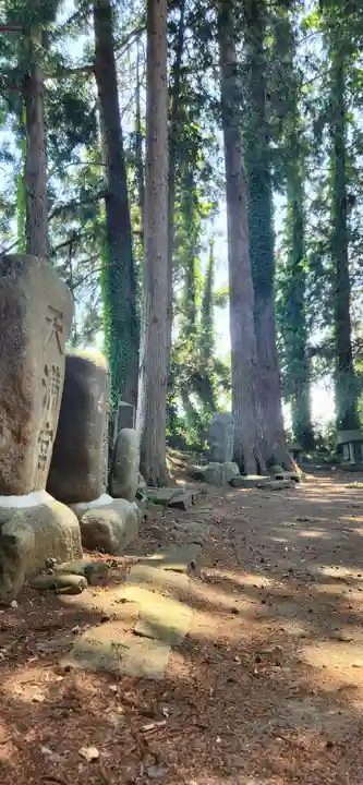 八雲神社の歴史