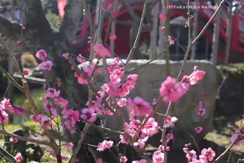 亀戸天神社(東京都)