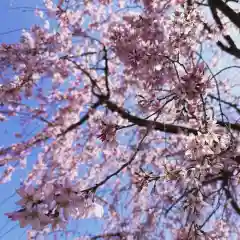 豊景神社(福島県)