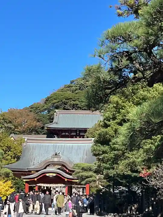 鶴岡八幡宮の本殿・本堂