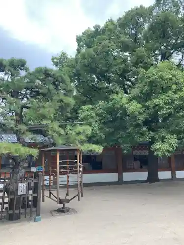 大聖観音寺（あびこ観音）(大阪府)