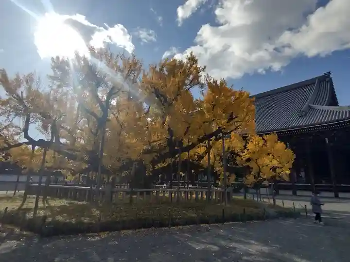 本願寺(西本願寺)のその他建物