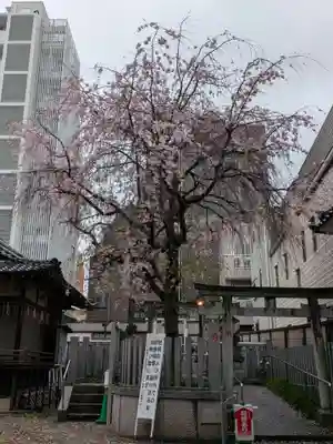 荻窪白山神社(東京都)