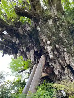 葛城一言主神社(奈良県)