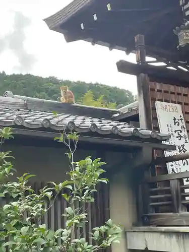 矢田寺(奈良県)