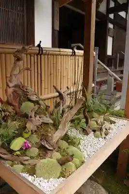 報国寺(神奈川県)