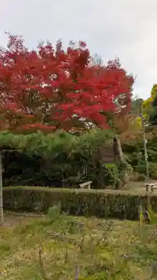 神應寺(京都府)