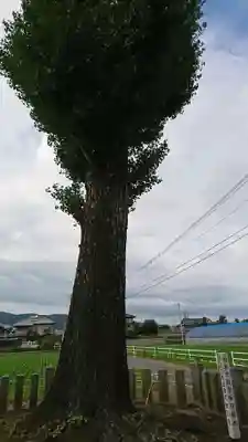 砂原阿蘇神社の周辺