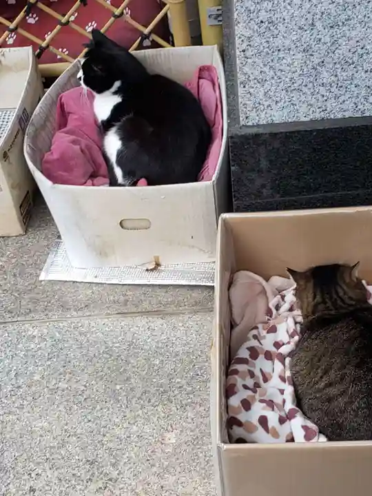 白金氷川神社(東京都)