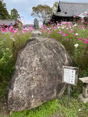 般若寺 ❁﻿コスモス寺❁(奈良県)