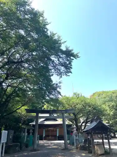 日枝神社の鳥居