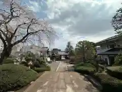 青柳寺(神奈川県)