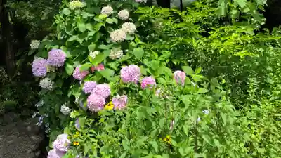 出雲大神宮(京都府)