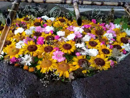 千歳神社の手水舎