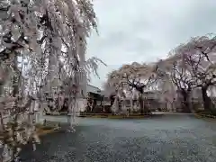 身照寺(岩手県)