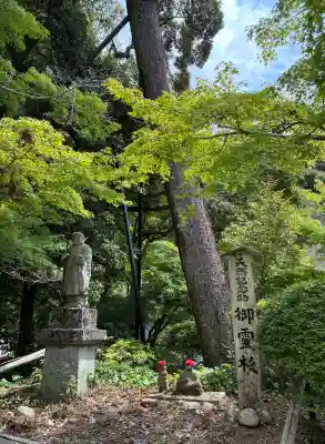 目の霊山　油山寺(静岡県)