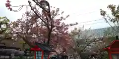 六孫王神社(京都府)