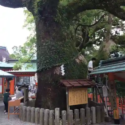 熊野那智大社(和歌山県)