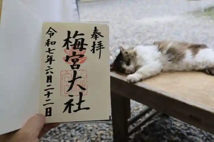 梅宮大社の御朱印