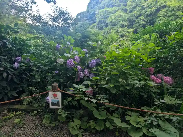 瑞泉寺(神奈川県)