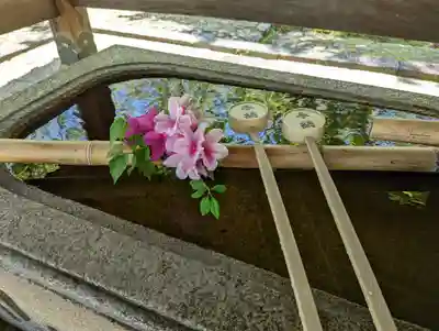 真正極楽寺(真如堂)(京都府)