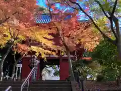 本土寺(千葉県)