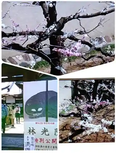 林光院(京都府)