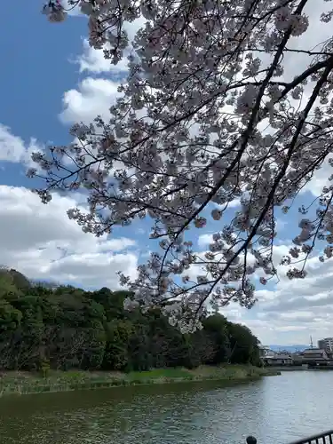 百舌鳥八幡宮の景色