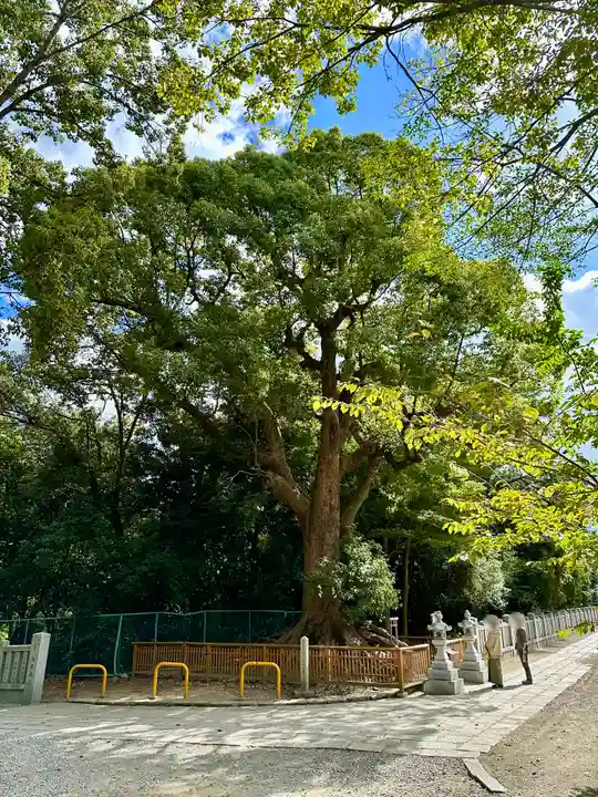 和泉國一之宮 大鳥大社(大阪府)
