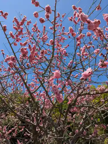 東福禅寺（東福寺）の自然