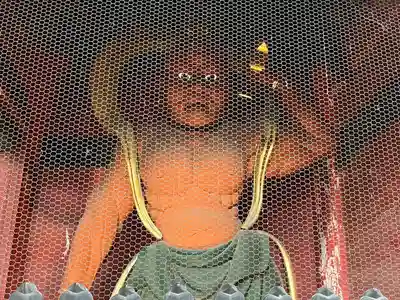 水澤寺(水澤観世音)(群馬県)