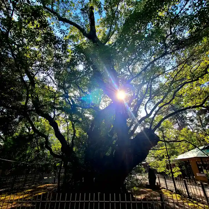 浜松八幡宮(静岡県)