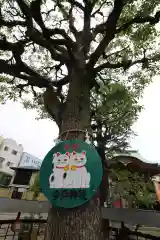 今戸神社(東京都)