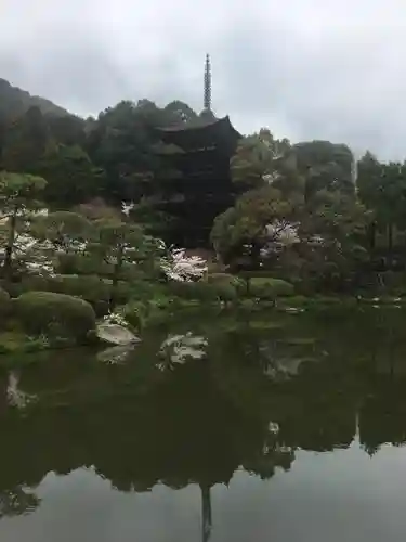 瑠璃光寺の庭園