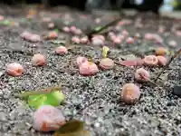 三津厳島神社(愛媛県)