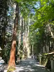 三峯神社(埼玉県)