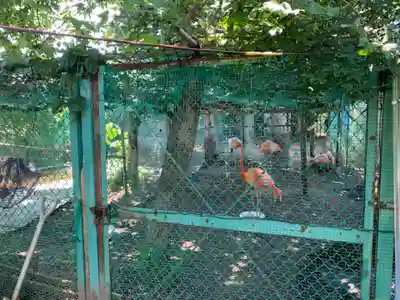 瀧水寺(千葉県)