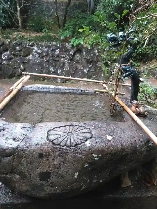 代々木神社の手水舎